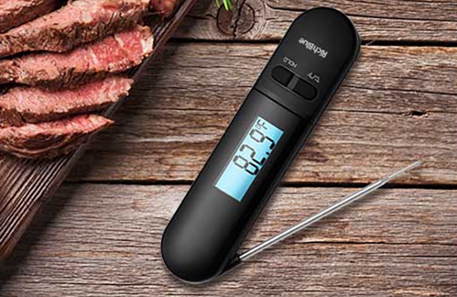 Rich-Blue-Meat-Thermometer